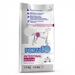 Forza10 Cane Intestinal Active 1,5 Kg