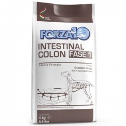 Forza10 Cane Veterinary Intestinal Colon fase 1 10 kg