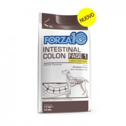 Forza10 Cane Veterinary Intestinal Colon fase 1 1,5 kg Agnello e Sorgo Bianco