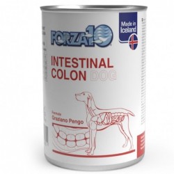 Forza10 Cane Veterinary Intestinal Colon fase 1 390gr Pesce