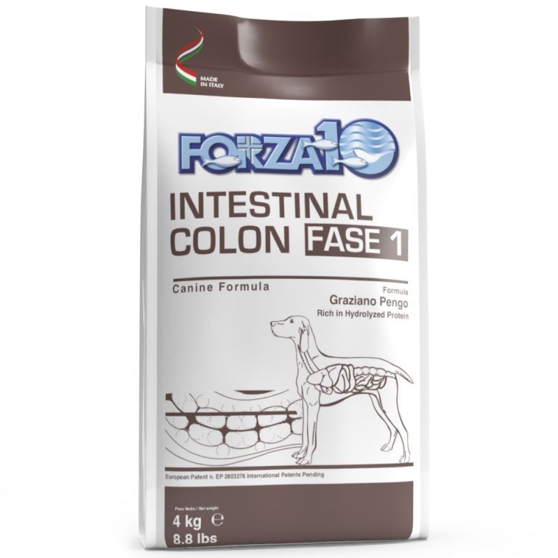 Forza10 Cane Veterinary Intestinal Colon fase 1 4 kg