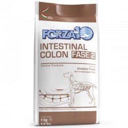Forza10 Cane Veterinary Intestinal Colon Fase 2 4 kg