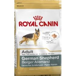 Royal Cane Adult German...