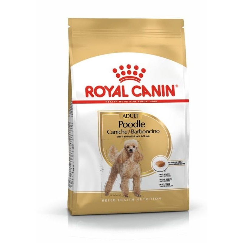 Royal Canin Cane Poodle Barboncino Adult 1,5 kg