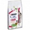 CAT CHOW Urinary Tract Health Gatto Crocchette ricco in Pollo 10 kg