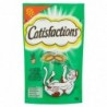 Catisfactions Snack Gatto : 260311-GRP:Erba Gatta 60gr