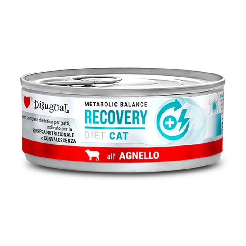 Disugual Gatto Dieta Recovery 85gr Agnello