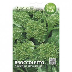 Sgaravatti Semi Orto Broccoletto Novantino a Cima Grossa