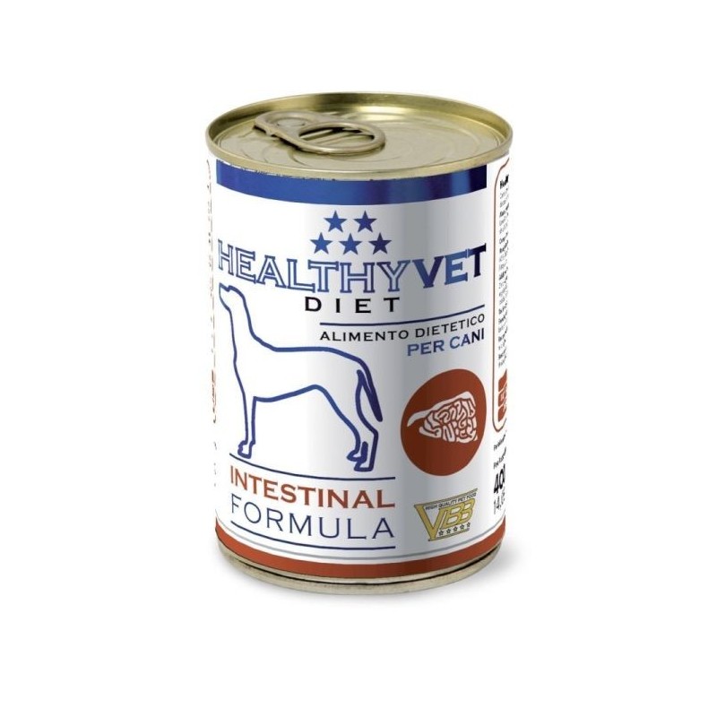 HealtyhVet Veterinary Cane Intestinal 400gr