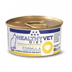 HealtyhVet Veterinary Gatto Urinary Struvite 85gr