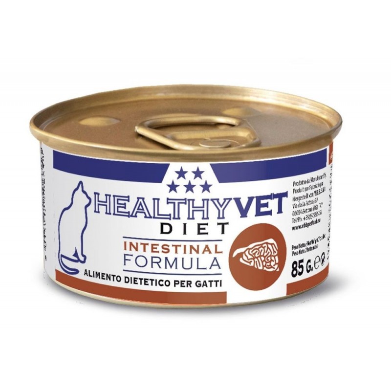 HealtyhVet Veterinary Gatto Intestinal 85gr